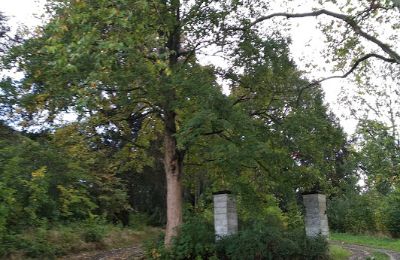Kasteel te koop Kostrzyna, Neder-Silezië, Foto 12/16