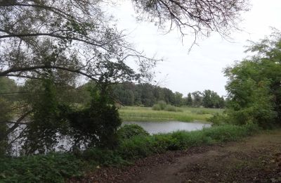 Kasteel te koop Łęg, Groot-Polen, Park