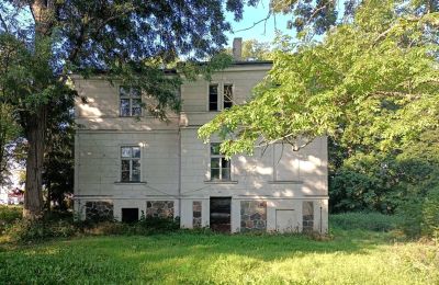 Landhuis te koop Goniembice, Dwór w Goniembicach, Groot-Polen, Zijaanzicht