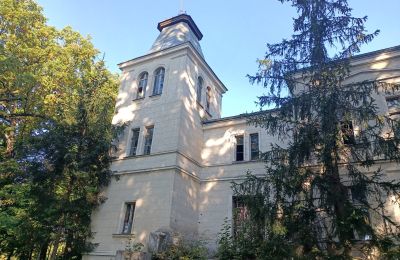 Landhuis te koop Goniembice, Dwór w Goniembicach, Groot-Polen, Foto 2/8