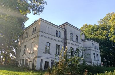 Manoir à vendre Goniembice, Dwór w Goniembicach, Grande-Pologne:  