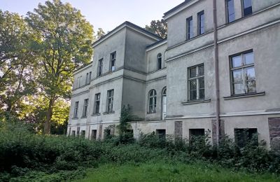 Landhuis te koop Goniembice, Dwór w Goniembicach, Groot-Polen, Zijaanzicht