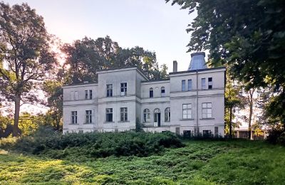 Landhuis te koop Goniembice, Dwór w Goniembicach, Groot-Polen, Dwór w Goniembicach 2025