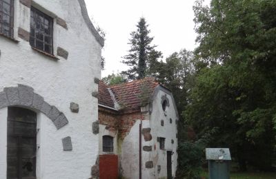 Manoir à vendre Brodnica, Grande-Pologne:  