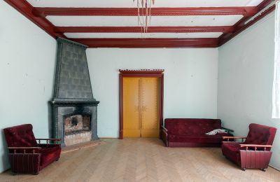 Château à vendre 77-304 Gockowo, Pałac Gockowo, Poméranie, Cheminée