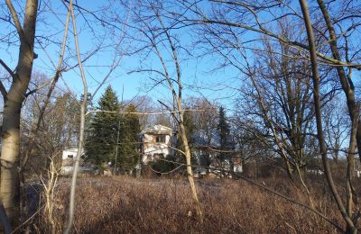 Landhuis te koop Smaszew, Dwór w Smaszewie, Groot-Polen, Eigendom
