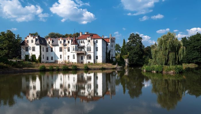 Château à vendre Dobrocin, Basse-Silésie,  Pologne