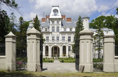 Propriétés, Château de Malina - manoir entièrement rénové au cœur de la Pologne