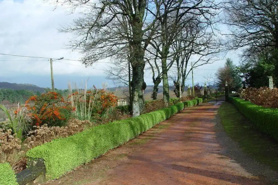 Allée de chênes menant au portail en pierre du Pazo de Ferreiroá.